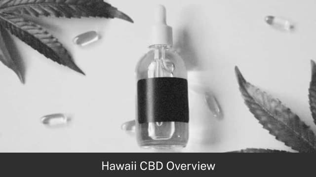 Hawaii CBD