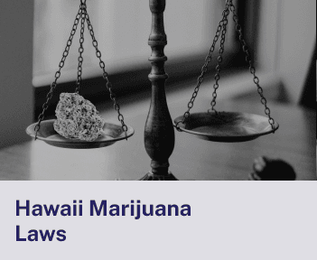 Hawaii Marijuana Laws