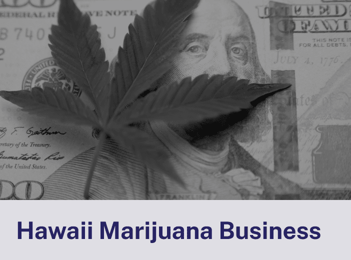 Hawaii Marijuana Business