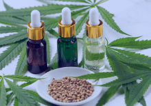 Hawaii Active Medical Marijuana Patients in 2025.png
