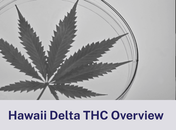 Hawaii Delta THC Overview