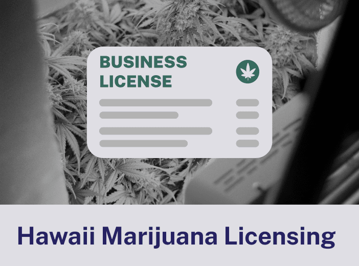 Hawaii Marijuana Licensing